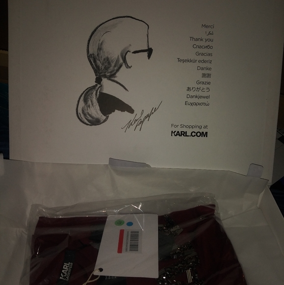 Karl Lagerfeld - Picture 4 of 4